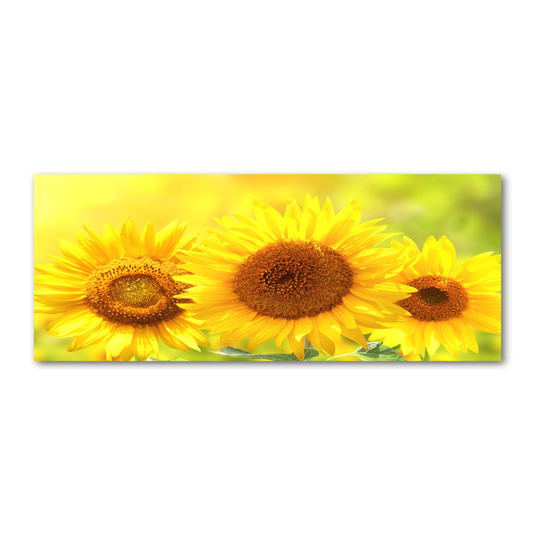 August Grove Sunflowers Wrapped Canvas Art Prints Wayfair.co.uk